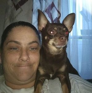 Meet your Posher, Cp